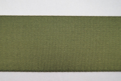 3.9 Cm Green 100% Polyester Webbing