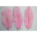 Feathers de avestruz sintética rosa 30cm-35cm para decoração de mesa de festas