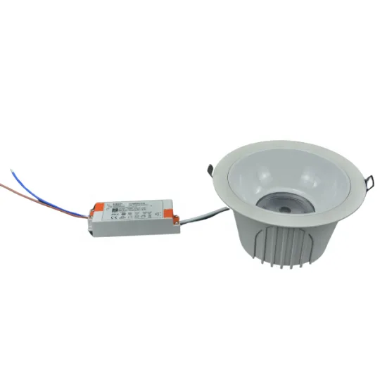 RONSE Shenzhen LED Down Light - Low Price with Built-in Driver