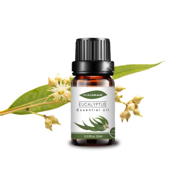 Óleo essencial para eucalipto orgânico por atacado para massagem com aroma