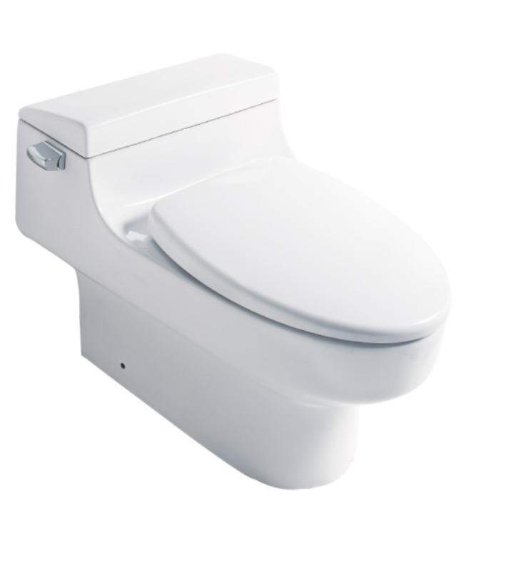 Siphonische einteilige Toilette in Weiß