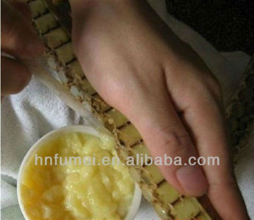 Healthy and tasty fresh royal jelly