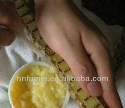 China bee products fresh royal jelly supplier