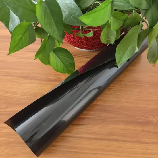 Rigid Polystyrene (HIPS) Food Grade PS Sheet