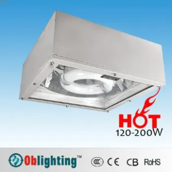 IP65 induction outdoor canopy lighting for gas station