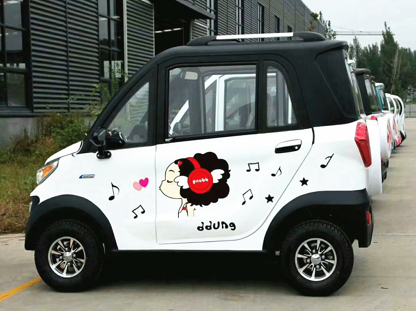 Hot Sell Car Electric Adult 2 Seats for Sale