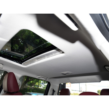 GWM POER Pickup Truck 2024