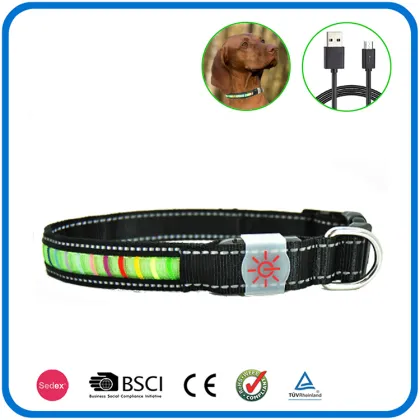 Night Bright Rechargeable Dog Collars