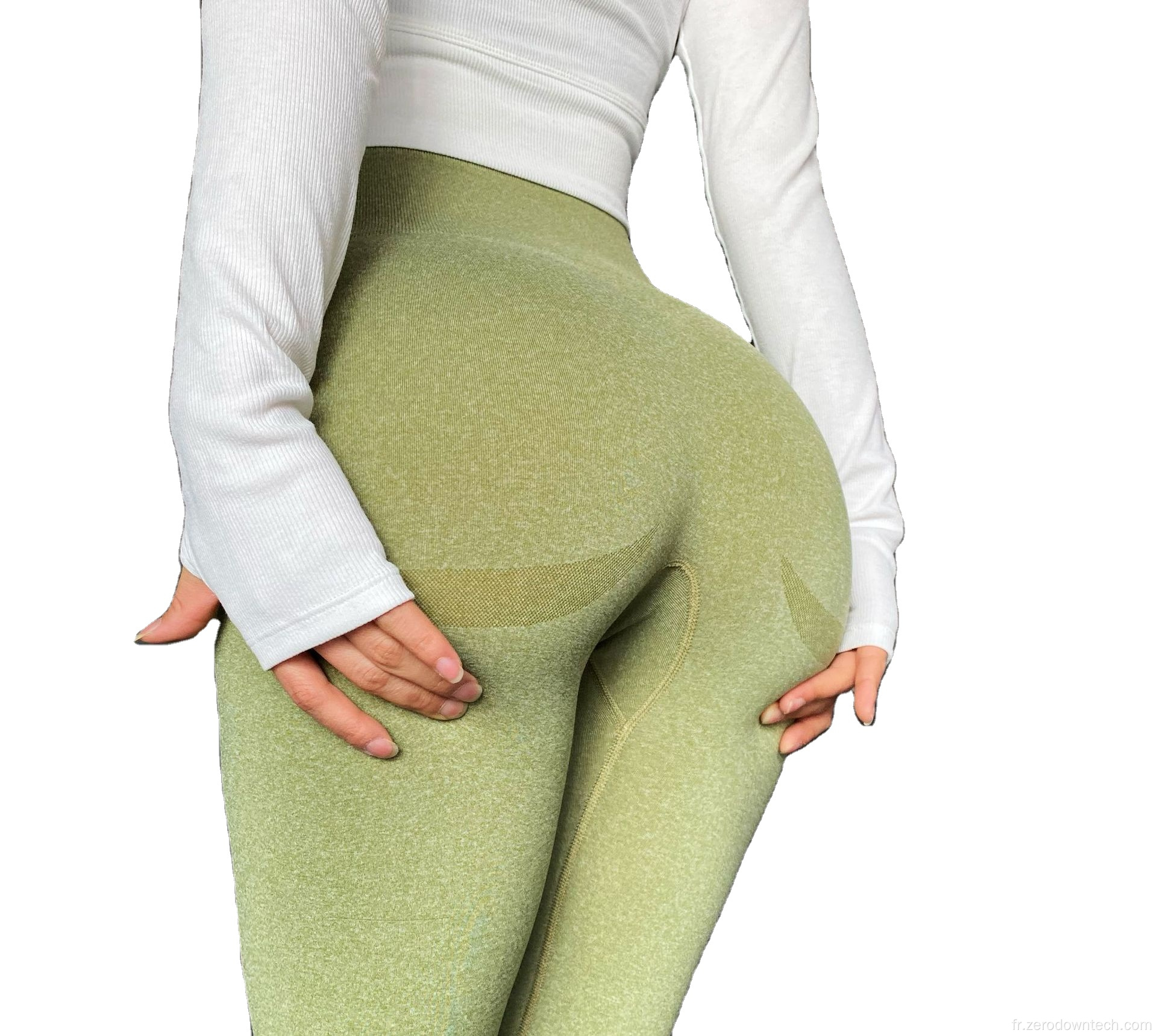 Leggings de fitness sans couture pour femmes