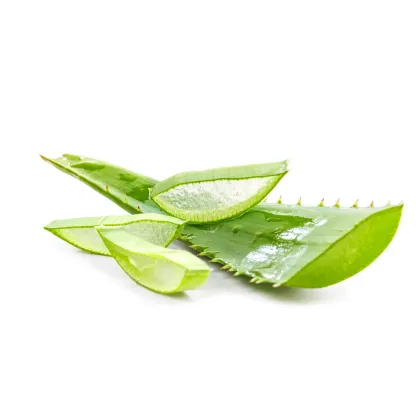 100% natural plant extract aloe vera hair oil