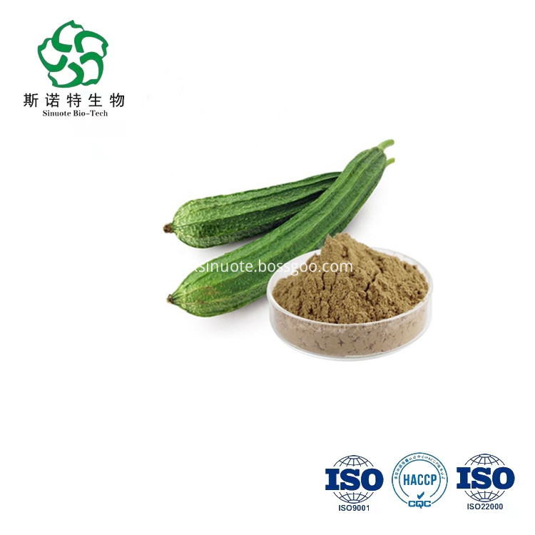 Luffa Powder