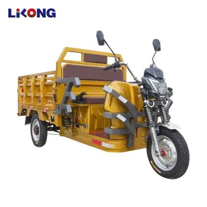 Electric Auto Rickshaw: The Three-Wheeled Cargo Motorcycle