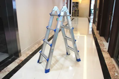 Folding little giant ladder