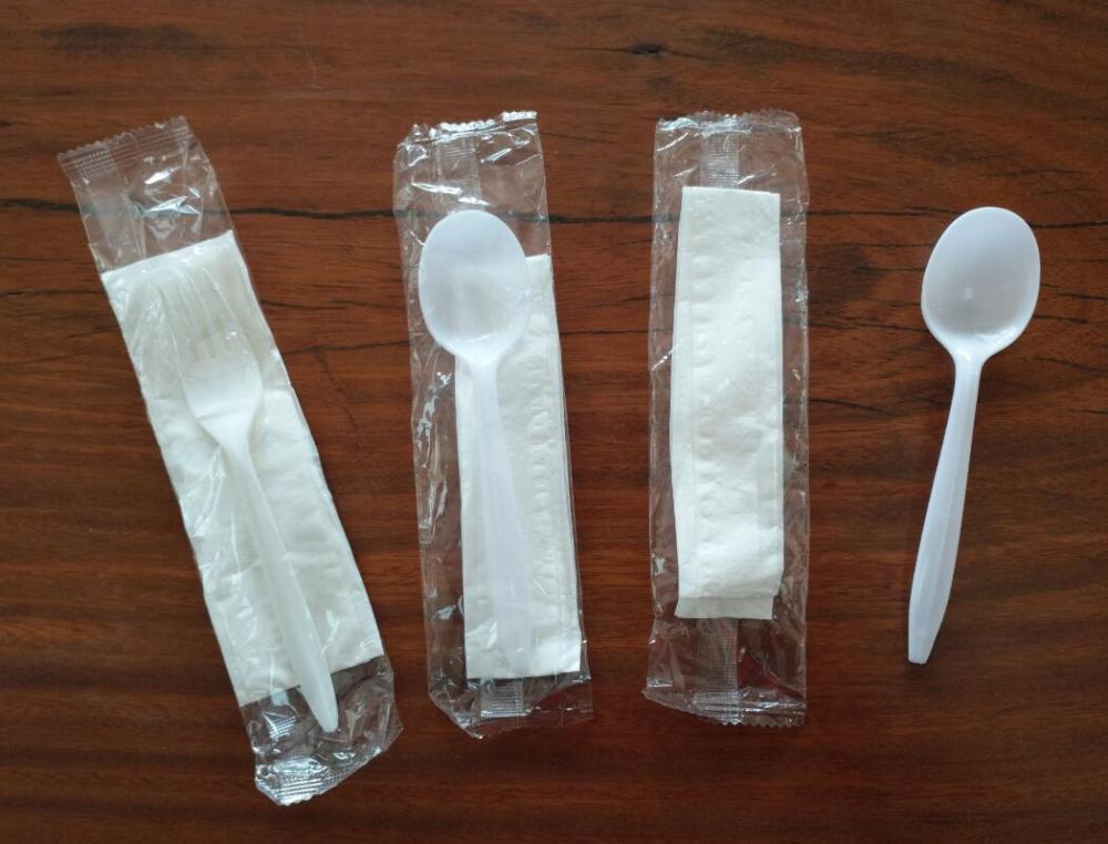 Disposable Plastic Spoon Set