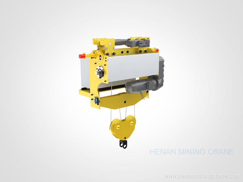 Professional galvanizing electric hoist