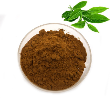 Wholesale organic green tea extract powder