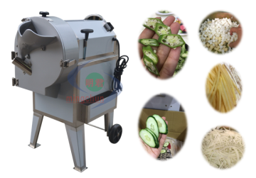 Multi-functional Vegetable Fruit cutter