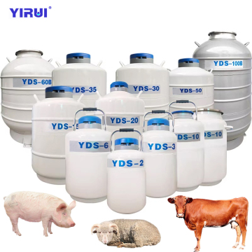 YDS-50B 50L Liquid Nitrogen Tank - High Efficiency Thermal Insulation Cold Storage for Biological Samples