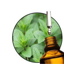 Cosmetic Grade Pure Peppermint Oil CAS 8006-90-4