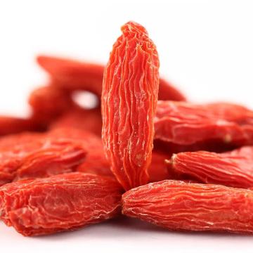 توت غوجي الأحمر العضوي