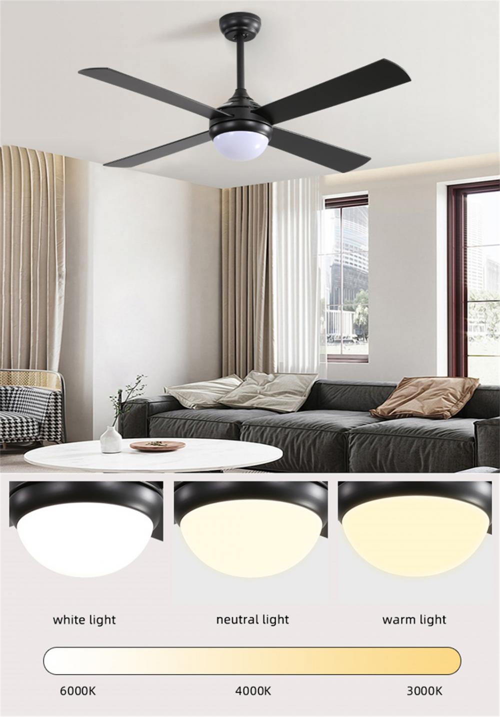 light with fan ceiling