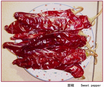 red hot pepper red small round hot peppers red hot chili peppers