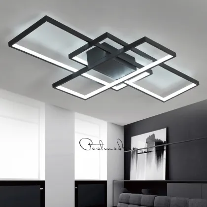 European Acrylic Art Lamp: Creative Designer Ceiling Light for Hall and Table