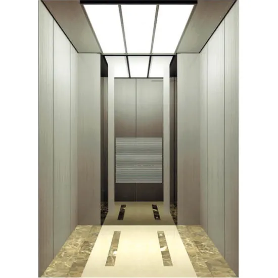 Villa Lift: Supplier of 320KG and 400KG Small Home Elevators