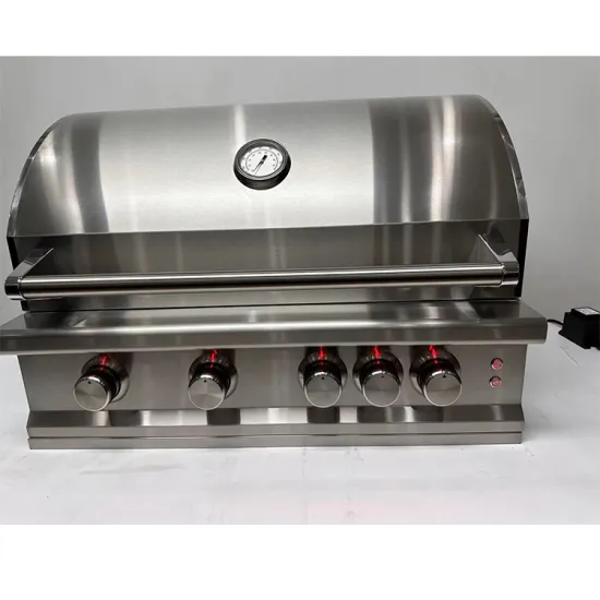 Outdoor Stainless Steel Barbecue Rack 5 Main Burners Desktop Kitchen Built In Gas Grill