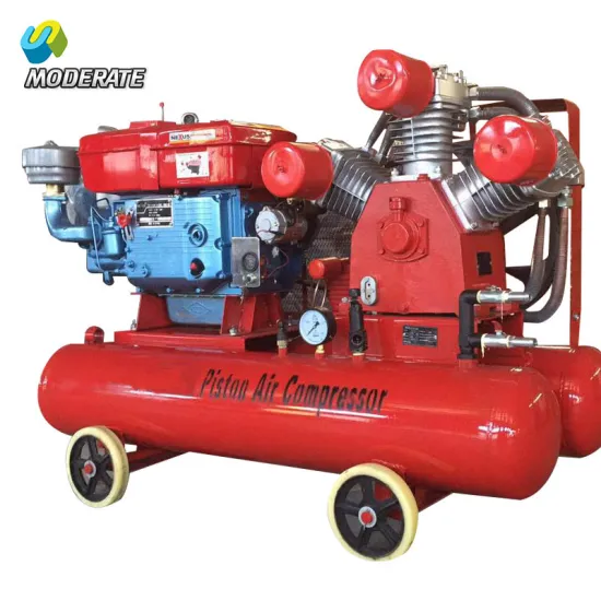 W3.2/7 Electric Movable Piston Air Compressor 220v