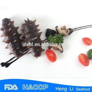 Quality frozen Fresh Cucumber, Frozen Cucumber, Sea Cucumber for sale