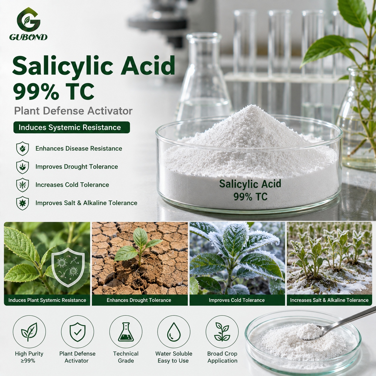 Salicylic Acid 99% TC