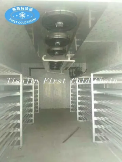 Frozen Meat Thawing Machine for Meat Seafood and Food Processing