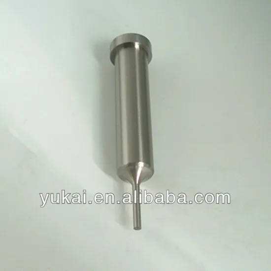 Plastic mould parts high precision punch