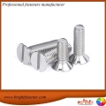 DIN2009 براغي ذات رأس مسطح غاطس