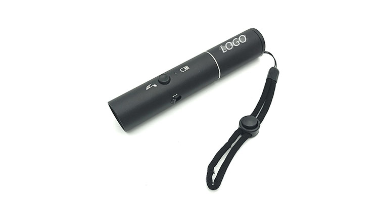 portable electric whistle
