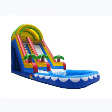 Inflatable Water Slide for Backyard Fun: Kids and Adults Alike