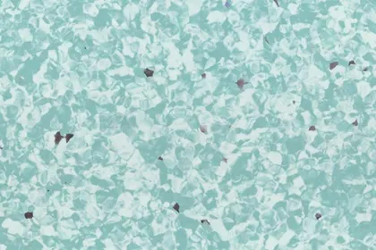 HOMOGENEOUS SHEET FLOORING - Brand