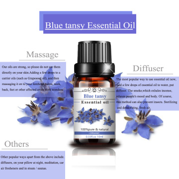 High Quality Blue Tansy Oil for Skin Care