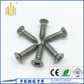 SS304 Phillips Pan Head Self Tapping Screw
