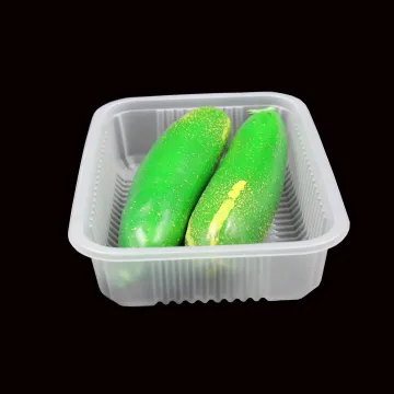 Disposable Plastic Packaging PP Food Tray
