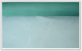 Window Screening