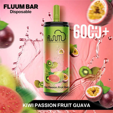 Disposable Vape 6000 Puffs 600MAh Fluum