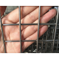 Galvanized Wire Mesh Welded Wire Mesh Panel