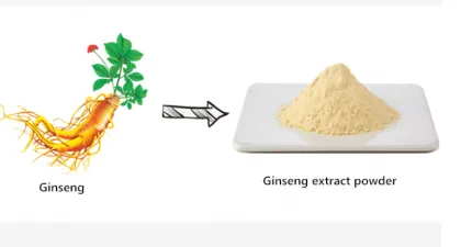 Ginseng Extract 20(S)-Ginsenoside Rh2