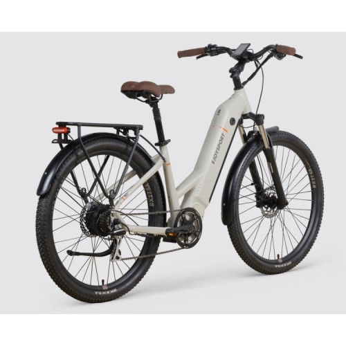 Customized Electric Bicycle For Commuter