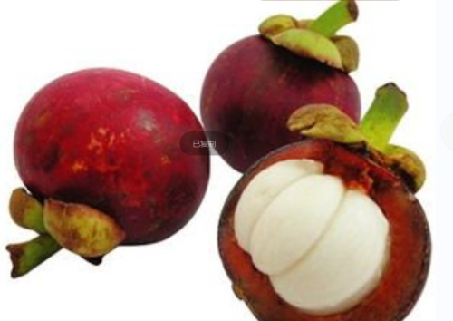 fruit extract powder Mangosteen Extract
