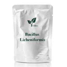 Probiotics Powder of Bacillus Licheniformis