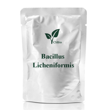 Probiotici in polvere di bacillus licheniformis