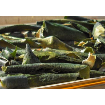 High Quality Waxgourd Peel Extract Powder